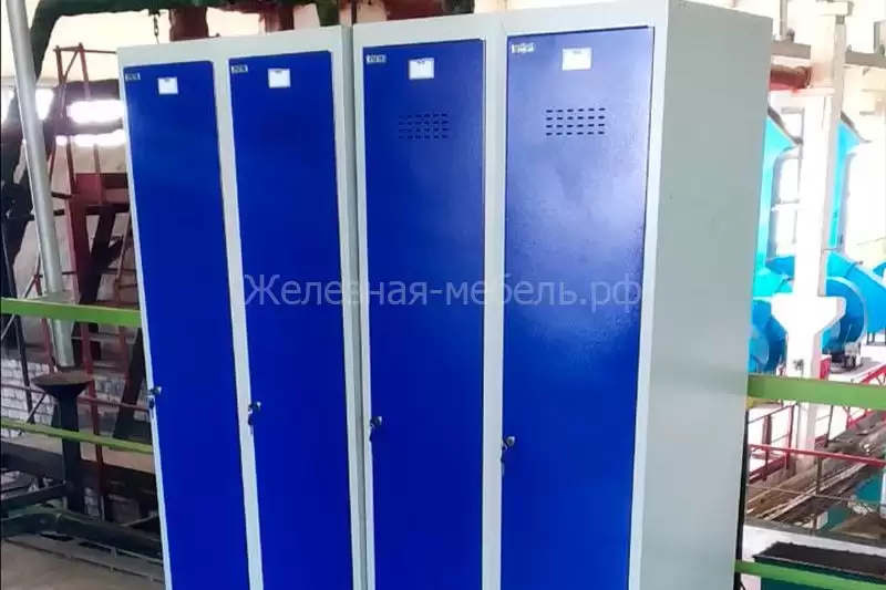 Шкафы для одежды серии ML в цвете г. Красноперекопск